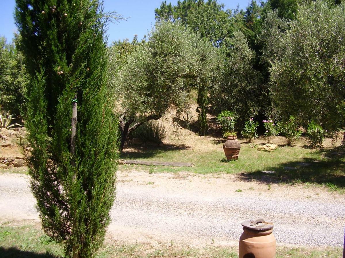 Podere Belvedere Cecina Cecina  Luaran gambar